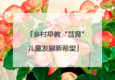 乡村早教“慧育”儿童发展新希望
