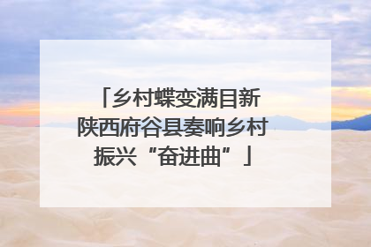 乡村蝶变满目新 陕西府谷县奏响乡村振兴“奋进曲”
