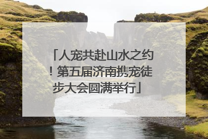 人宠共赴山水之约！第五届济南携宠徒步大会圆满举行