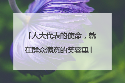 人大代表的使命，就在群众满意的笑容里