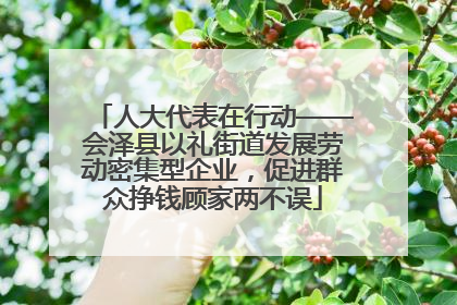 人大代表在行动——会泽县以礼街道发展劳动密集型企业，促进群众挣钱顾家两不误