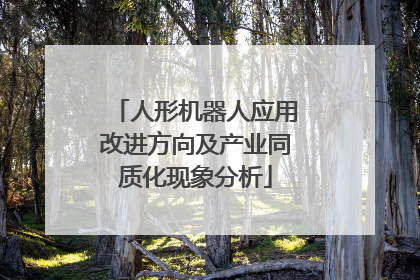人形机器人应用改进方向及产业同质化现象分析