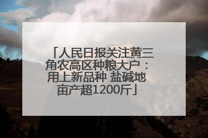人民日报关注黄三角农高区种粮大户：用上新品种 盐碱地亩产超1200斤