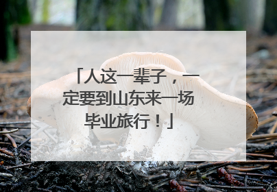 人这一辈子，一定要到山东来一场毕业旅行！