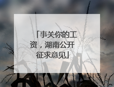 事关你的工资，湖南公开征求意见