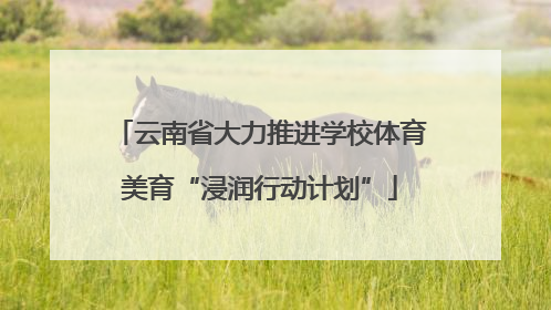 云南省大力推进学校体育美育“浸润行动计划”