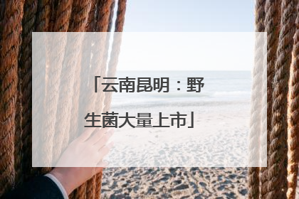 云南昆明：野生菌大量上市