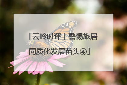 云岭时评丨警惕旅居同质化发展苗头④