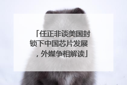 任正非谈美国封锁下中国芯片发展，外媒争相解读