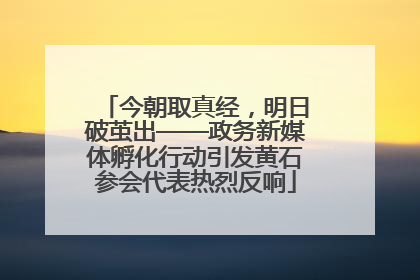 今朝取真经，明日破茧出——政务新媒体孵化行动引发黄石参会代表热烈反响