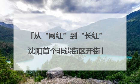 从“网红”到“长红” 沈阳首个非遗街区开街