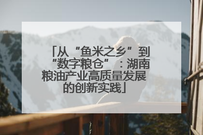 从“鱼米之乡”到“数字粮仓”：湖南粮油产业高质量发展的创新实践