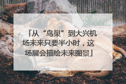 从“鸟巢”到大兴机场未来只要半小时，这场展会描绘未来图景