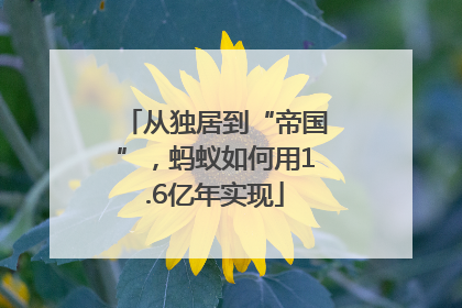 从独居到“帝国”，蚂蚁如何用1.6亿年实现