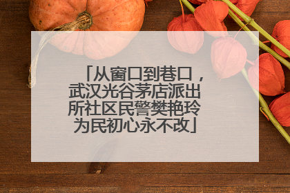 从窗口到巷口，武汉光谷茅店派出所社区民警樊艳玲为民初心永不改