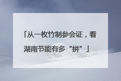 从一枚竹制参会证，看湖南节能有多“拼”