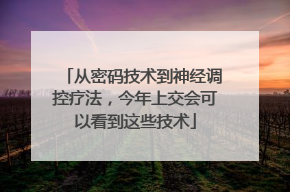 从密码技术到神经调控疗法，今年上交会可以看到这些技术