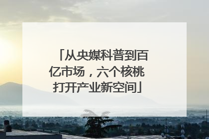 从央媒科普到百亿市场，六个核桃打开产业新空间