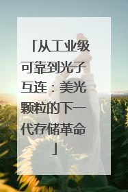 从工业级可靠到光子互连：美光颗粒的下一代存储革命