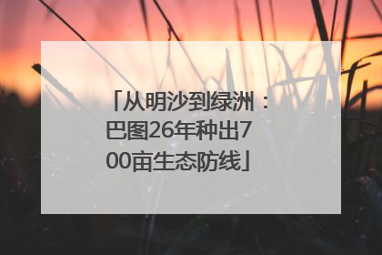 从明沙到绿洲：巴图26年种出700亩生态防线