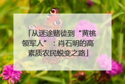 从迷途赌徒到“黄桃领军人”：肖石明的高素质农民蜕变之路