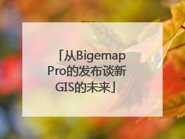 从Bigemap Pro的发布谈新GIS的未来