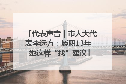 代表声音｜市人大代表李远方：履职13年 她这样“找”建议