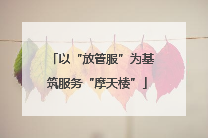 以“放管服”为基筑服务“摩天楼”