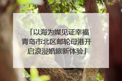 以海为媒见证幸福 青岛市北区邮轮母港开启浪漫婚旅新体验