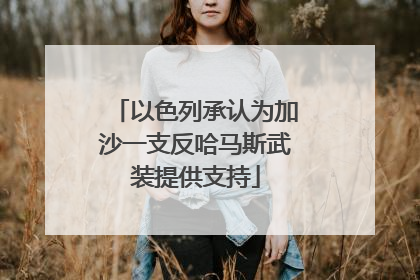 以色列承认为加沙一支反哈马斯武装提供支持