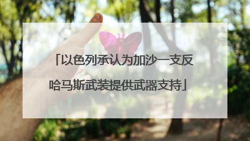 以色列承认为加沙一支反哈马斯武装提供武器支持