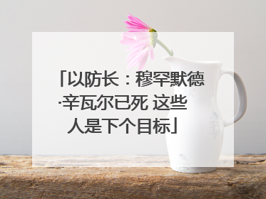 以防长：穆罕默德·辛瓦尔已死 这些人是下个目标