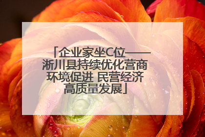 企业家坐C位——淅川县持续优化营商环境促进 民营经济高质量发展