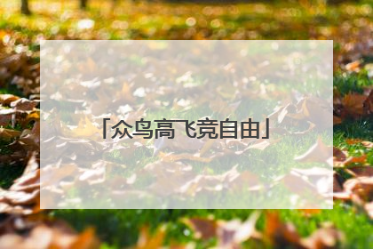 众鸟高飞竞自由