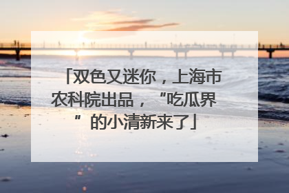 双色又迷你，上海市农科院出品，“吃瓜界”的小清新来了