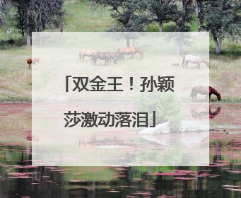 双金王！孙颖莎激动落泪