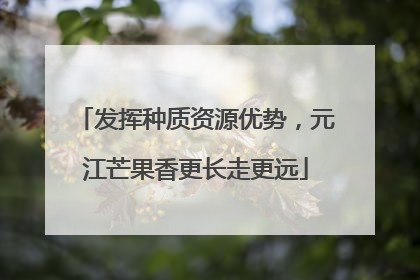 发挥种质资源优势，元江芒果香更长走更远