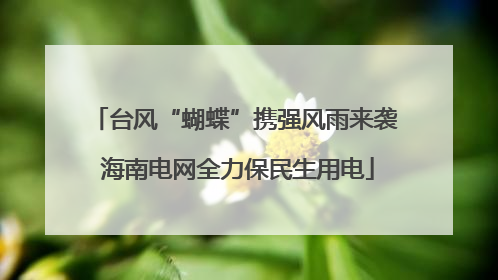 台风“蝴蝶”携强风雨来袭 海南电网全力保民生用电