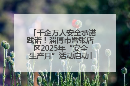 千企万人安全承诺践诺！淄博市暨张店区2025年“安全生产月”活动启动