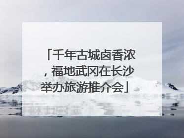 千年古城卤香浓，福地武冈在长沙举办旅游推介会