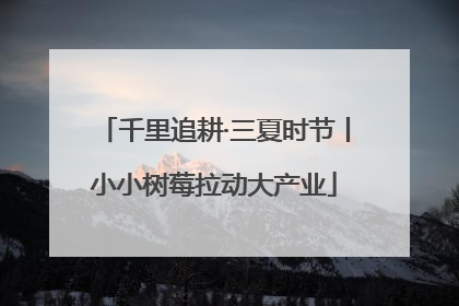 千里追耕·三夏时节丨小小树莓拉动大产业