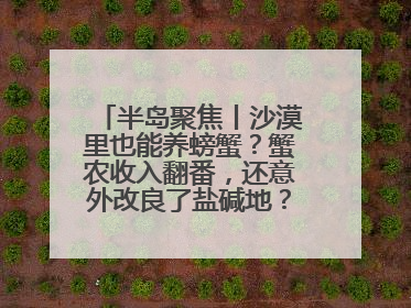 半岛聚焦丨沙漠里也能养螃蟹？蟹农收入翻番，还意外改良了盐碱地？咋做到的？