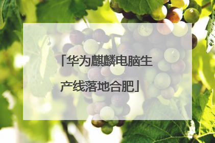 华为麒麟电脑生产线落地合肥