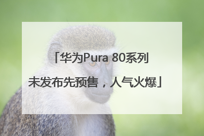 华为Pura 80系列未发布先预售，人气火爆