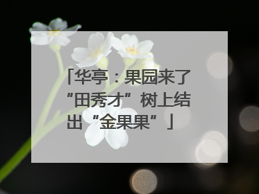 华亭：果园来了“田秀才”树上结出“金果果”