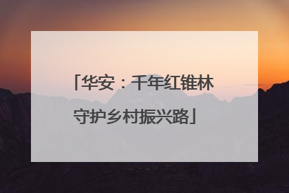 华安：千年红锥林守护乡村振兴路