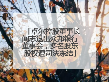 卓尔控股董事长阎志退出众邦银行董事会，多名股东股权遭司法冻结