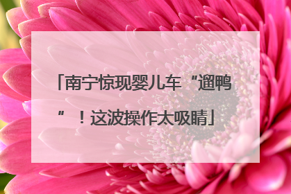 南宁惊现婴儿车“遛鸭”！这波操作太吸睛