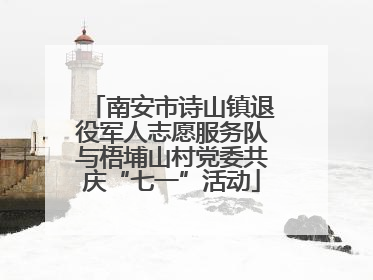 南安市诗山镇退役军人志愿服务队与梧埔山村党委共庆“七一”活动