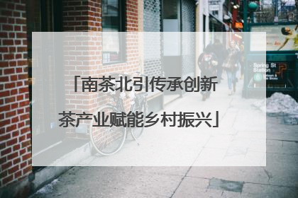 南茶北引传承创新 茶产业赋能乡村振兴